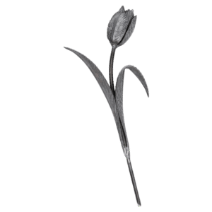 Tulipán H 410 x L 165 mm