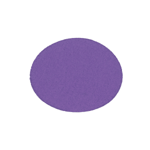 Brusný kotouč P suchý zip ø125 zrno 60