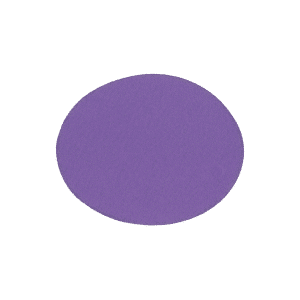 Brusný kotouč P suchý zip ø125 zrno 100