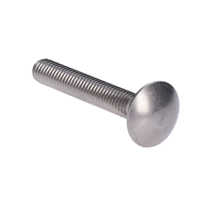 Nerezový šroub vratová (M6x25mm), DIN603F /AISI304